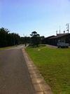 IMG_2965s IMG_2965s