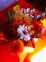 IMG_6092s IMG_6092s
