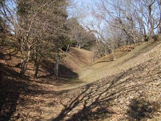 印旛沼公園・空掘