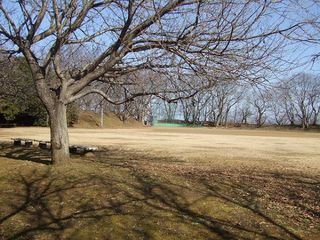 印旛沼公園・自由広場