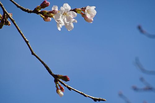 DSC00467