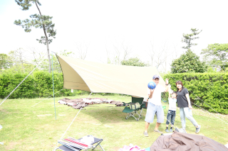 IMG_2135 IMG_2135