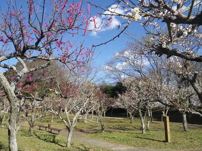 0218季節の園内風景