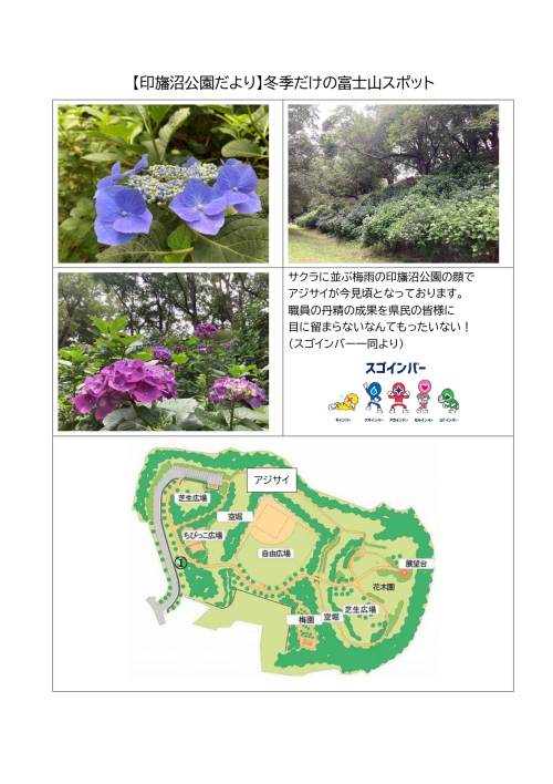 印旛沼公園だより6月号_page-0001